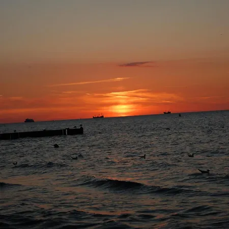 Halo * Kołobrzeg