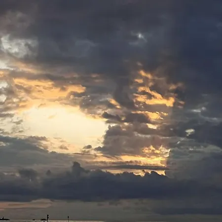 Halo 아파트 코워브제크